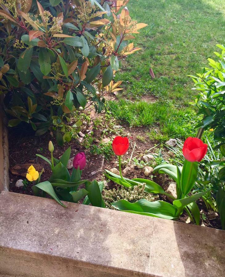Papere E Tulipani Lägenhet Vicenza Exteriör bild