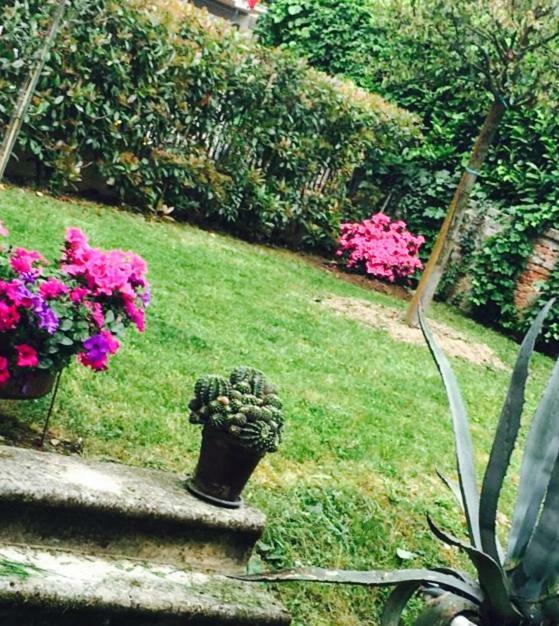 Papere E Tulipani Lägenhet Vicenza Exteriör bild